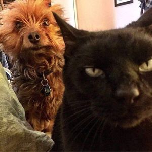 Meet your Posher, Sara